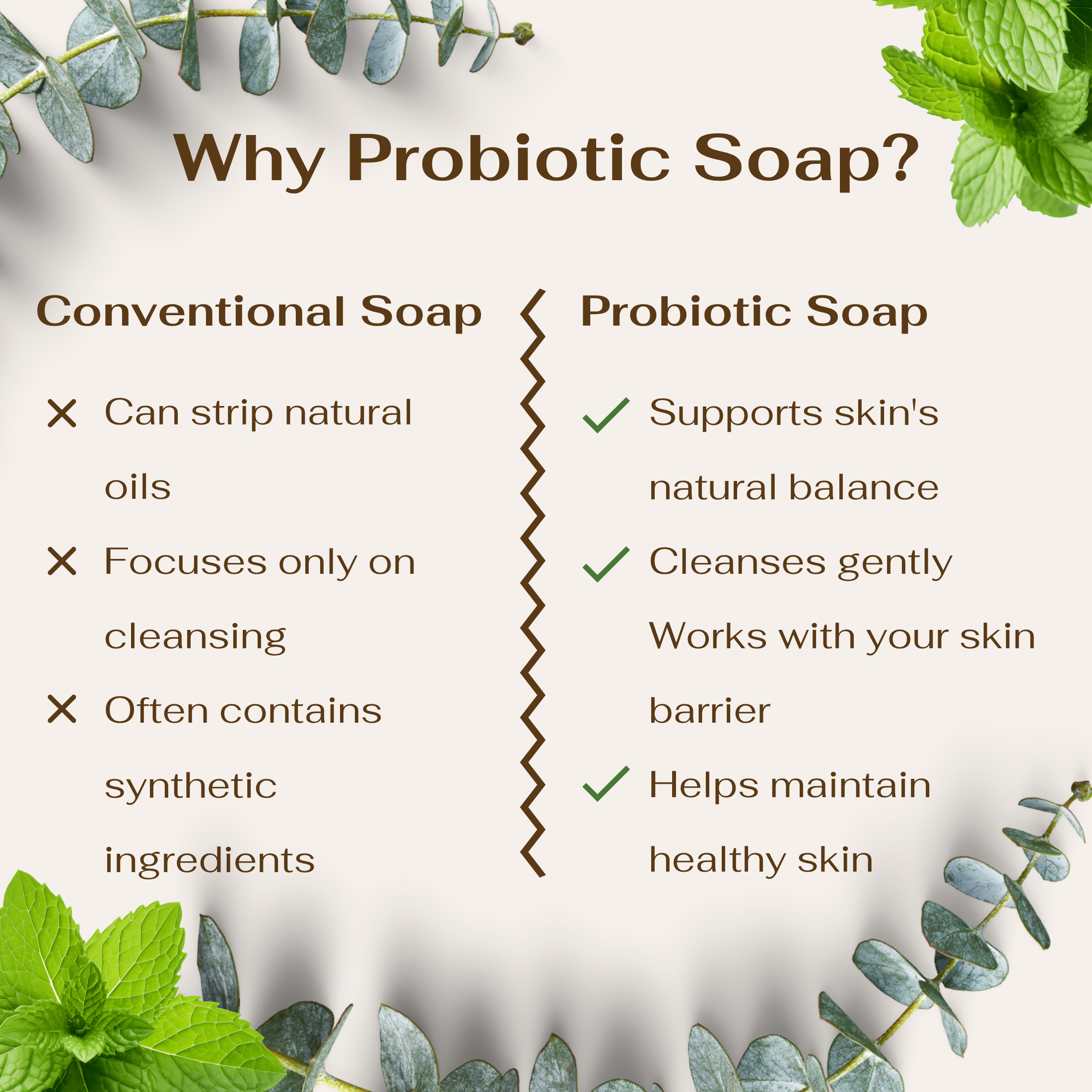 Probiotic Powered Hand Soap