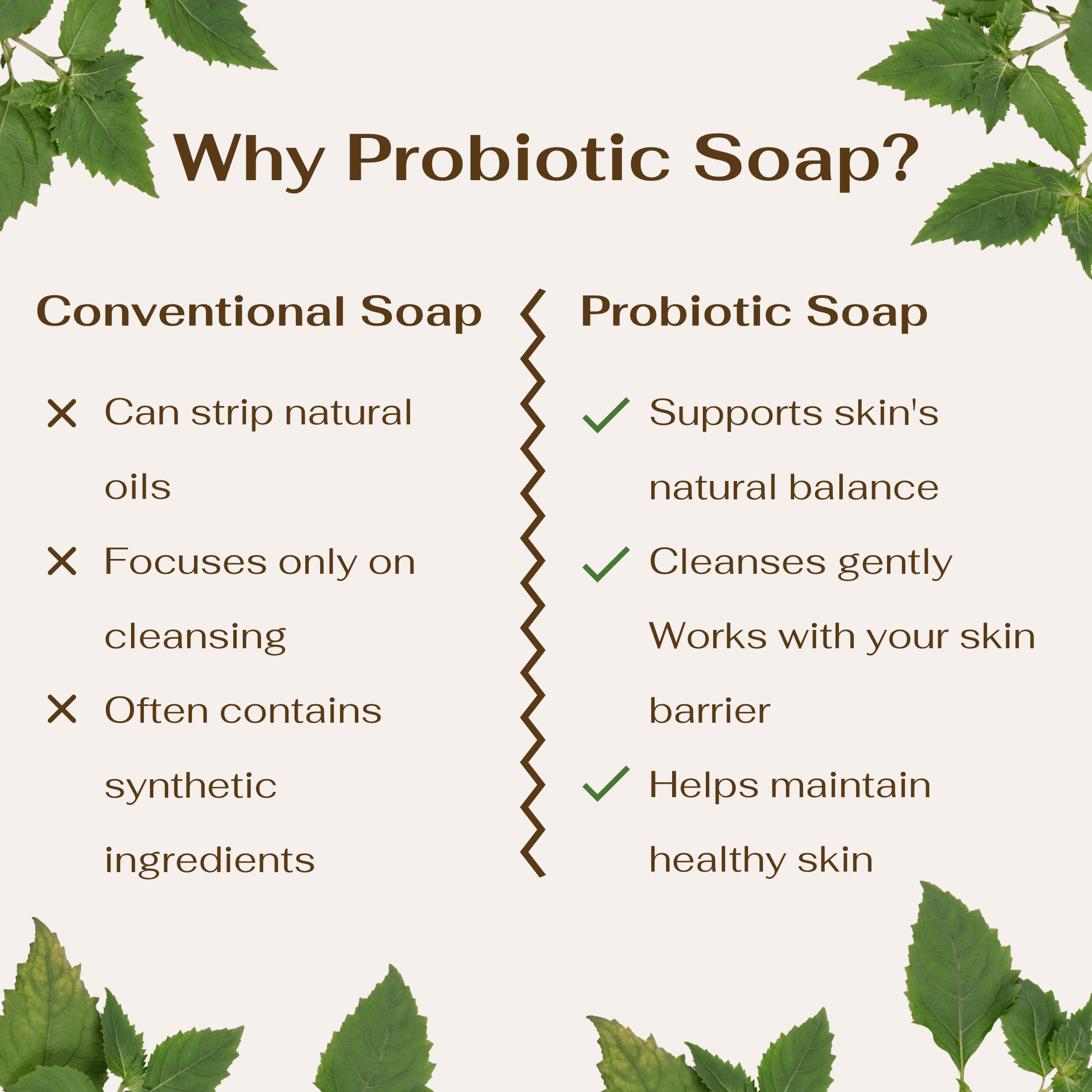 Probiotic Powered Hand Soap