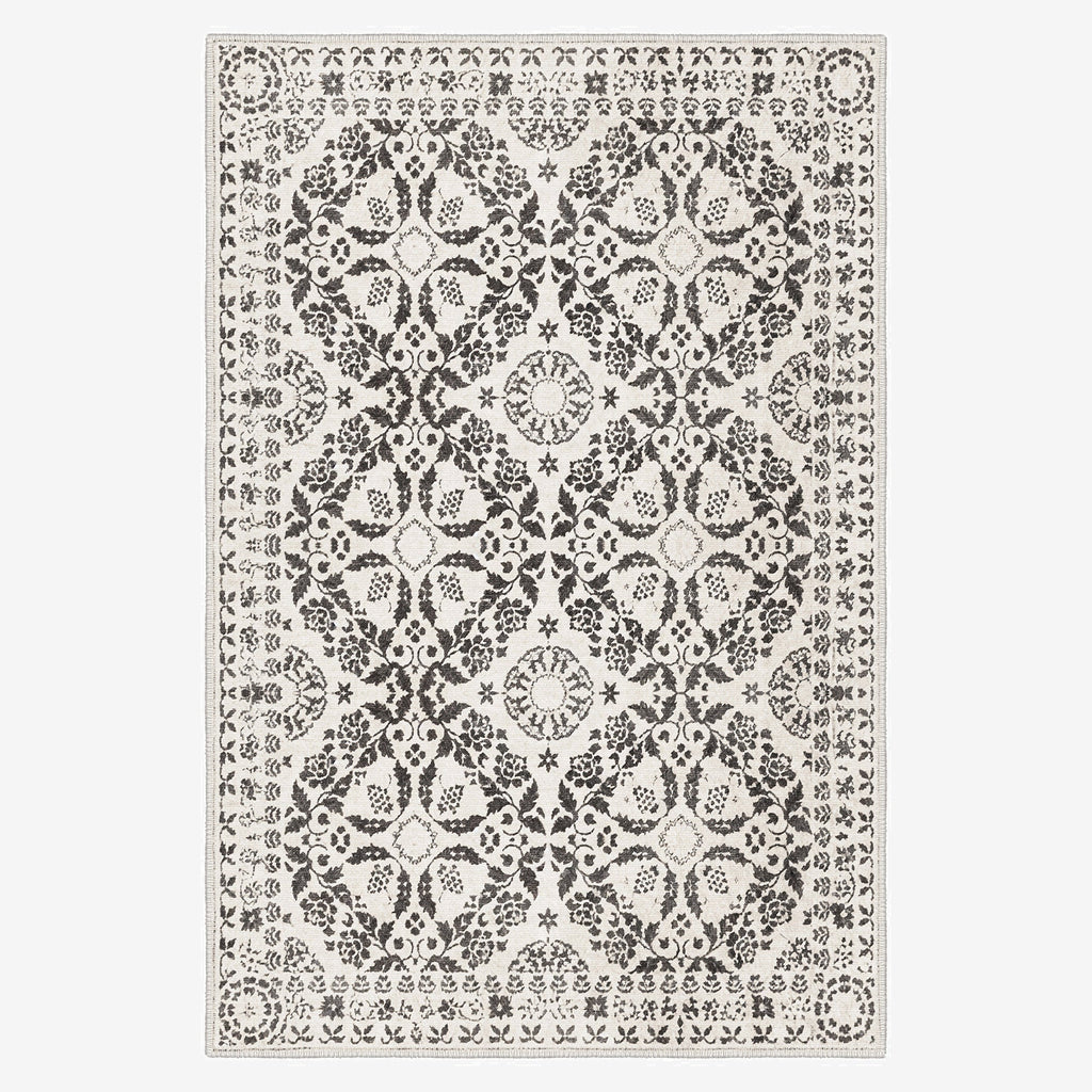 Paricutín Area Rug