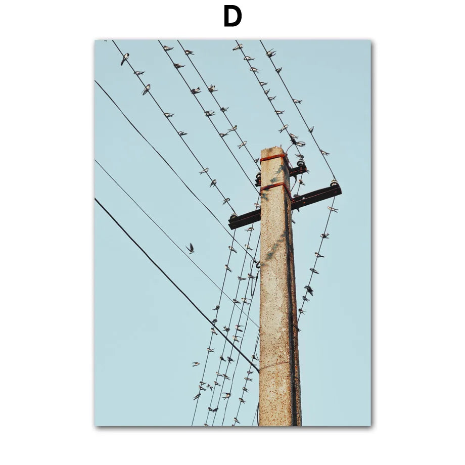 42728699035741|42728699199581|42728699265117|42728699363421|42728699756637|42728699953245|42728700018781|42728700084317|42728700182621|42728700280925|42728700379229