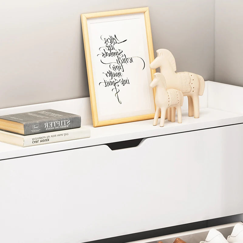 Space Saving Shoe Cabinet