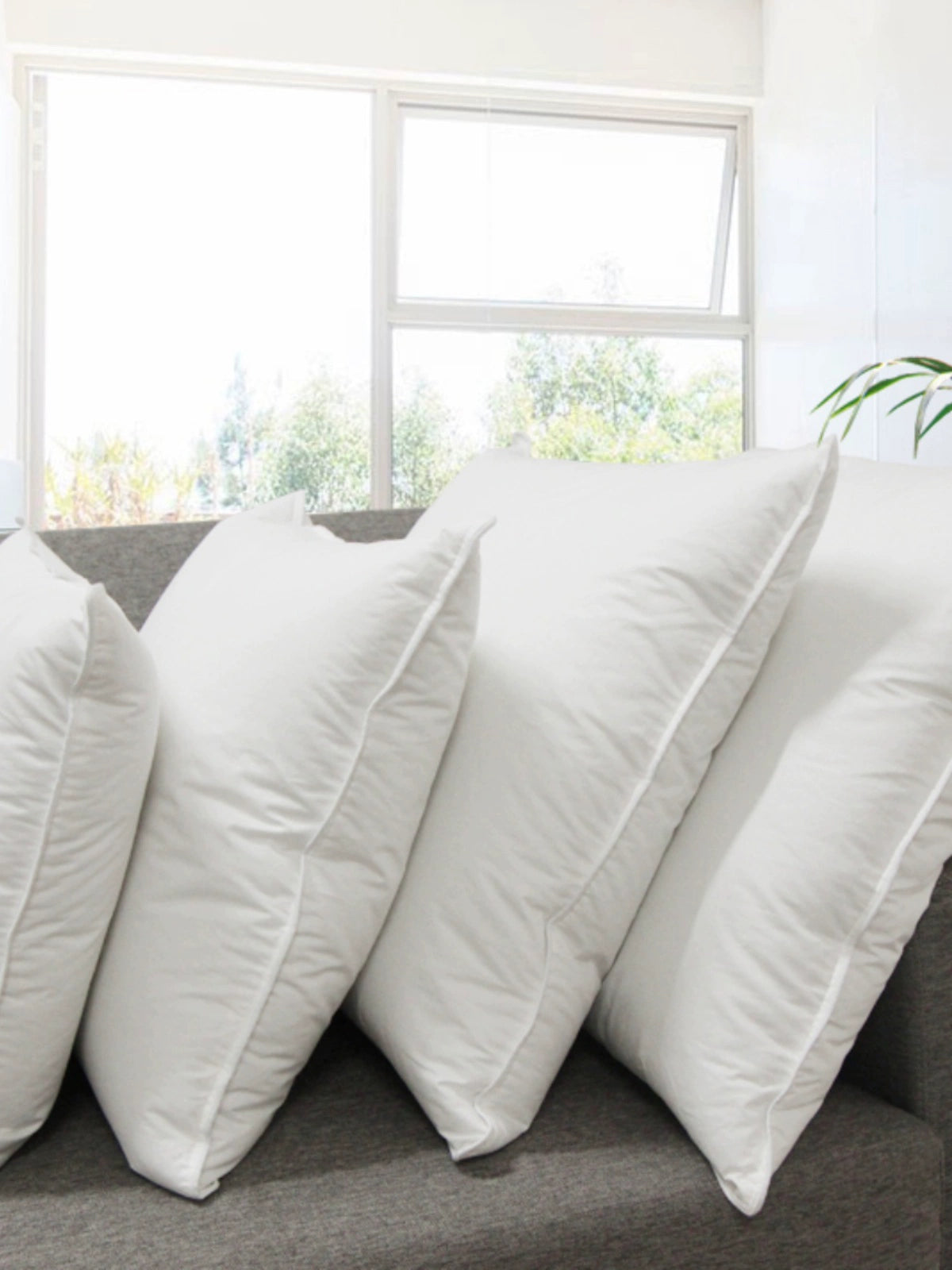 Throw Pillow Filler Goose Feather down Car and Office Sofa