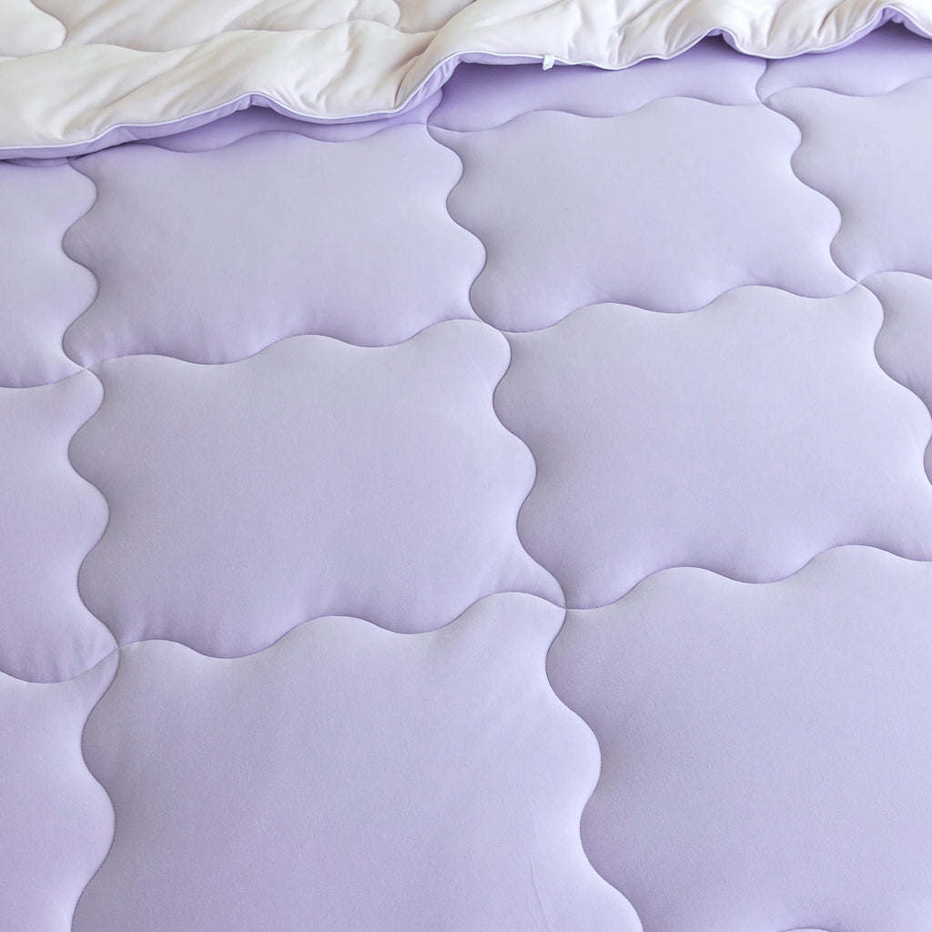 California King Siz Reversible Ultra-Soft  Comforter Set,  Cozy Breathable Bedding 1 Down Alternative with 2 Pillowcase