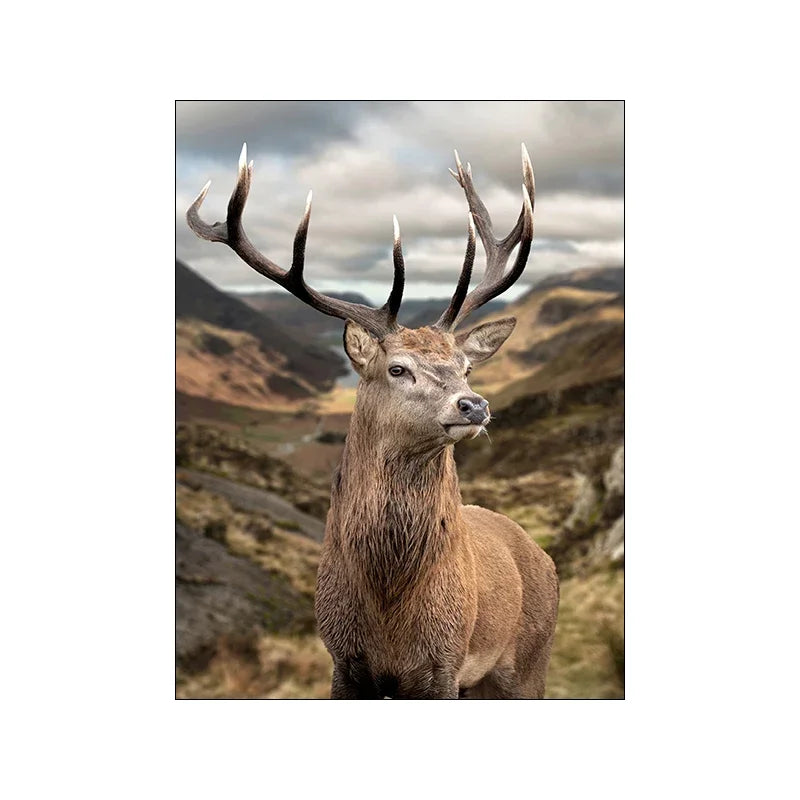 42620926328925|42620926591069|42620926853213|42620926984285|42620927246429|42620927508573|42620927770717