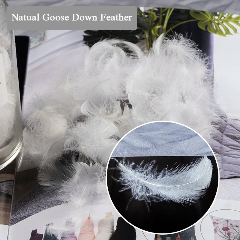 100% Cotton Goose Down Pillows