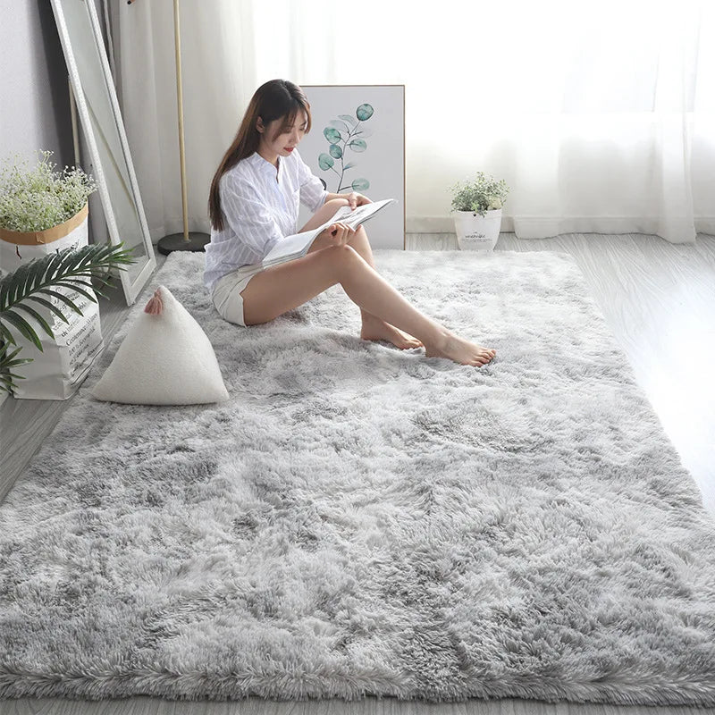 Soft Gradient Area Rug