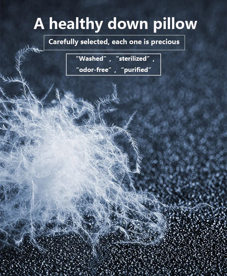 Five-star hotel down comfort pillow, 3D embossed pillow, neck support pillow, white goose down pillow core