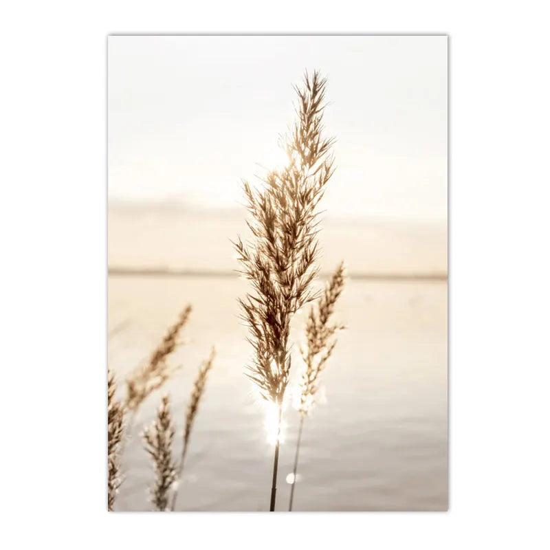 42620928295005|42620928819293|42620929081437|42620929278045|42620929474653|42620929671261|42620929933405|42620930916445